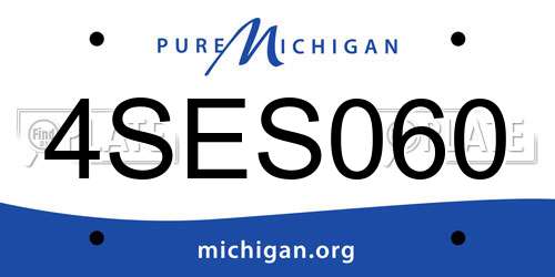 4SES060 Michigan License Plate