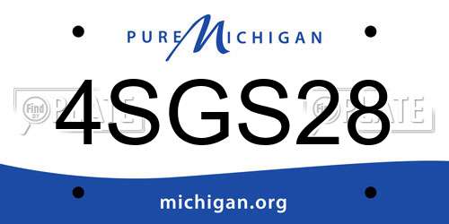 4SGS28 Michigan License Plate