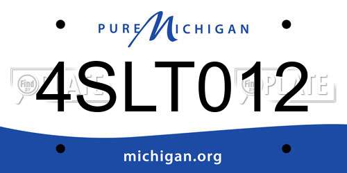 4SLT012 Michigan License Plate