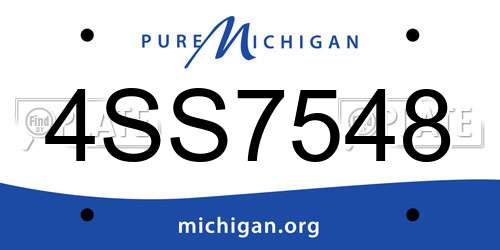 4SS7548 Michigan License Plate