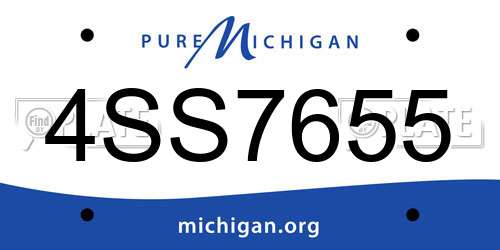 4SS7655 Michigan License Plate