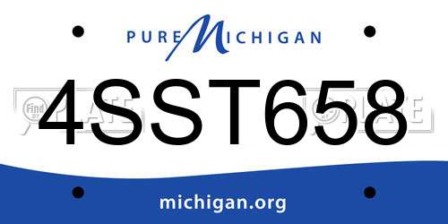 4SST658 Michigan License Plate