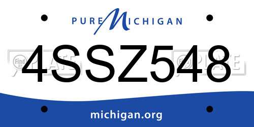 4SSZ548 Michigan License Plate