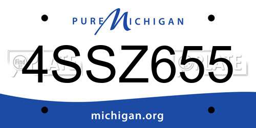 4SSZ655 Michigan License Plate