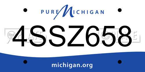 4SSZ658 Michigan License Plate