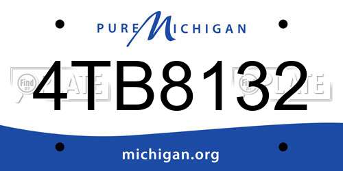 4TB8132 Michigan License Plate