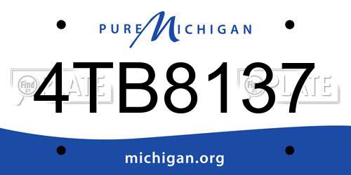 4TB8137 Michigan License Plate