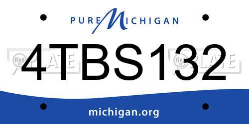 4TBS132 Michigan License Plate