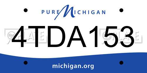 4TDA153 Michigan License Plate