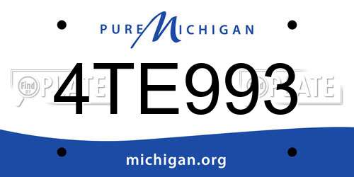4TE993 Michigan License Plate