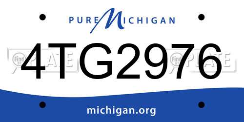 4TG2976 Michigan License Plate