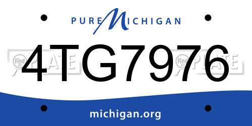 4TG7976 Michigan License Plate