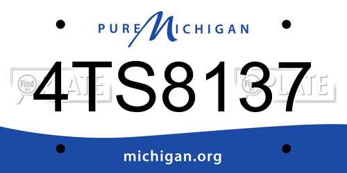 4TS8137 Michigan License Plate