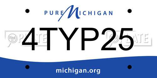4TYP25 Michigan License Plate