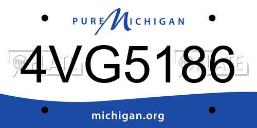 4VG5186 Michigan License Plate