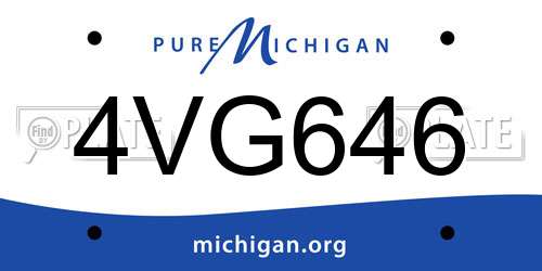 4VG646 Michigan License Plate
