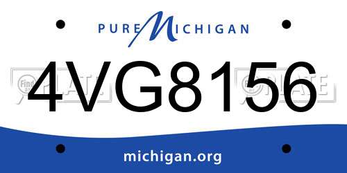 4VG8156 Michigan License Plate