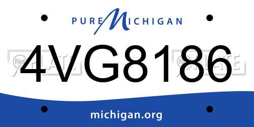4VG8186 Michigan License Plate