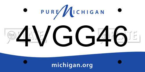 4VGG46 Michigan License Plate