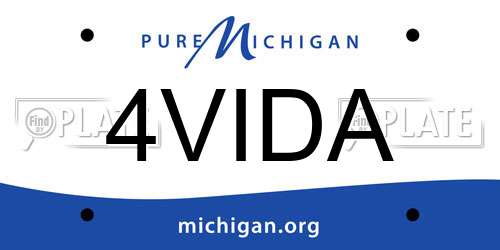 4VIDA Michigan License Plate