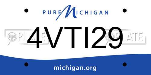 4VTI29 Michigan License Plate