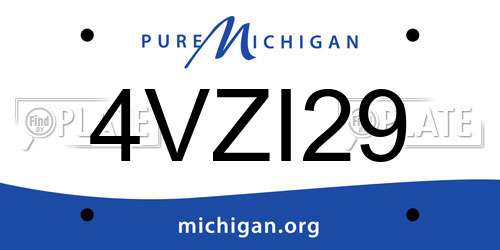 4VZI29 Michigan License Plate