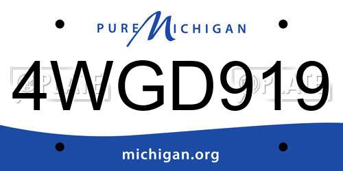 4WGD919 Michigan License Plate