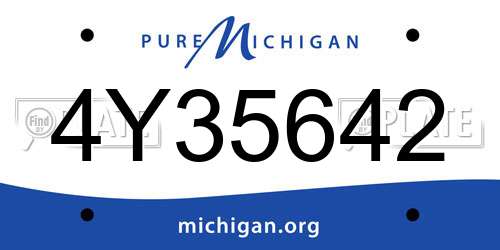 4Y35642 Michigan License Plate