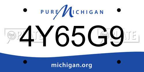 4Y65G9 Michigan License Plate