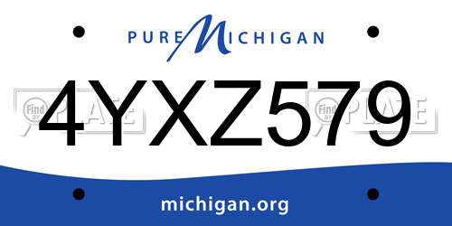 4YXZ579 Michigan License Plate