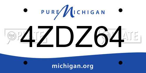 4ZDZ64 Michigan License Plate
