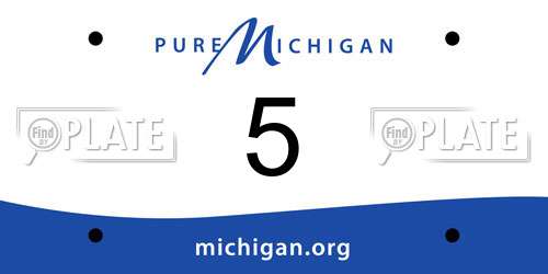 5 Michigan License Plate