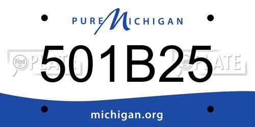 501B25 Michigan License Plate