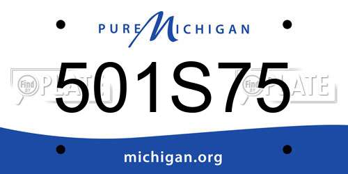 501S75 Michigan License Plate