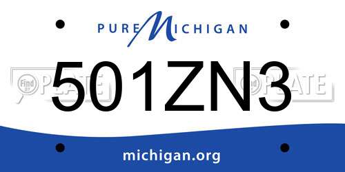 501ZN3 Michigan License Plate