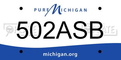 502ASB Michigan License Plate
