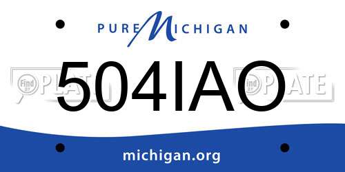 504IAO Michigan License Plate