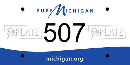 507 Michigan License Plate