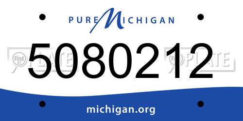 5080212 Michigan License Plate