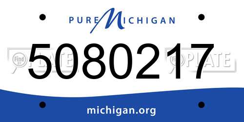 5080217 Michigan License Plate