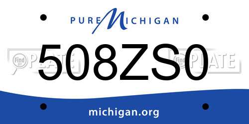 508ZS0 Michigan License Plate