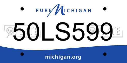50LS599 Michigan License Plate