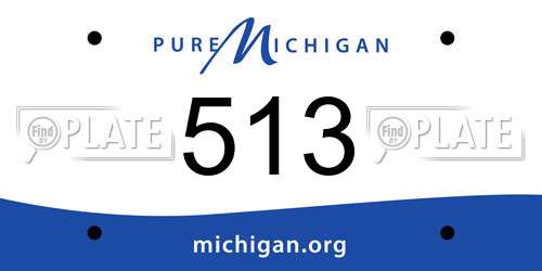 513 Michigan License Plate
