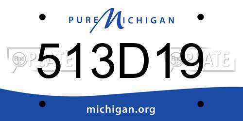 513D19 Michigan License Plate