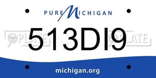 513DI9 Michigan License Plate