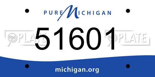 51601 Michigan License Plate
