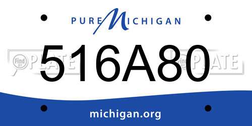 516A80 Michigan License Plate
