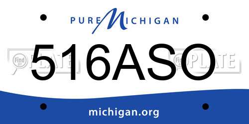 516ASO Michigan License Plate