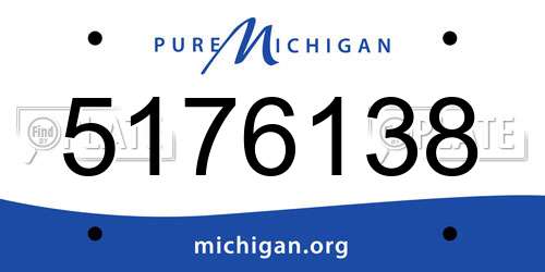 5176138 Michigan License Plate