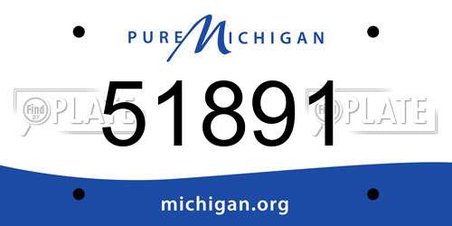 51891 Michigan License Plate